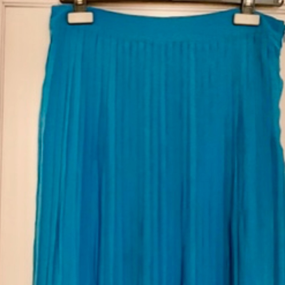 Blue Knife-Pleated Maxi Skirt Women size M/6